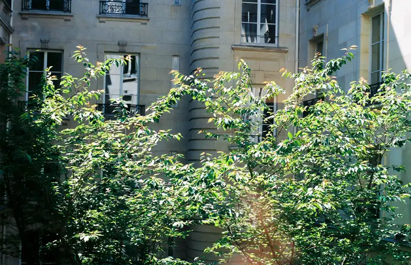 L'équipe du cabinet WAN Avocats L'équipe du cabinet WAN Avocats 22 rue du Général Foy à Paris